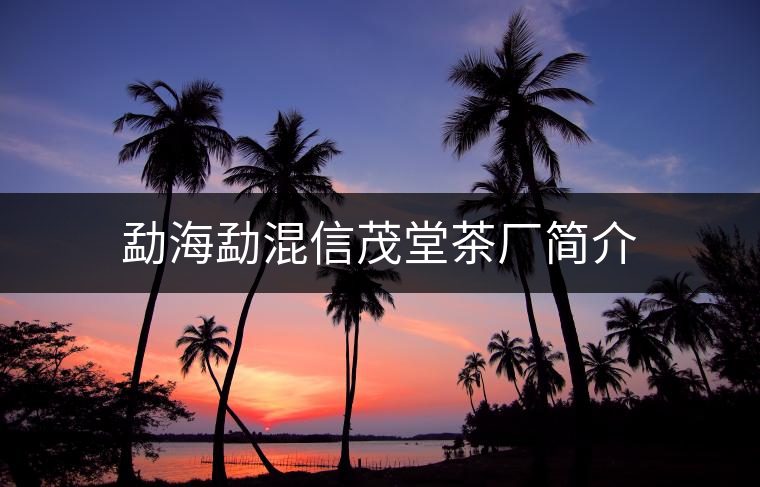 勐海勐混信茂堂茶廠簡介