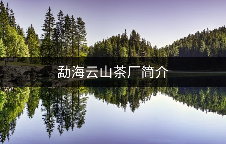 勐海云山茶廠簡(jiǎn)介