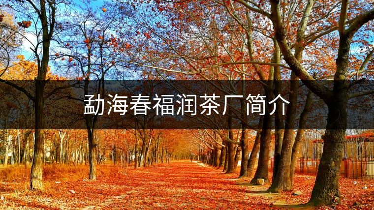 勐海春福潤茶廠簡介 勐海春福潤茶廠簡介