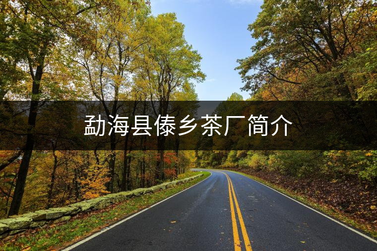 勐?？h傣鄉(xiāng)茶廠簡介