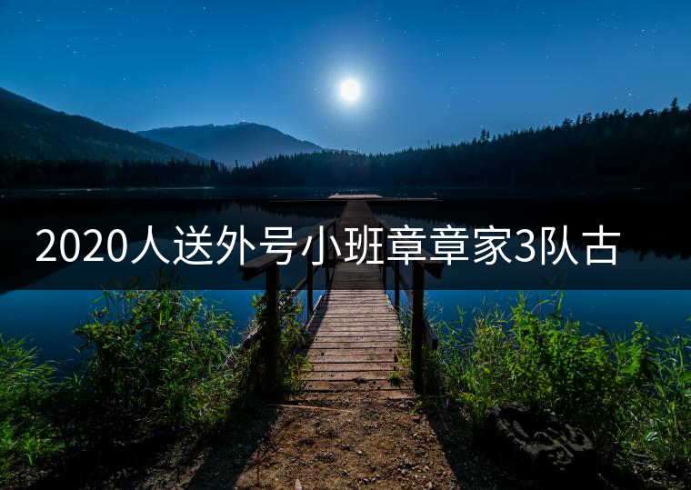 2020人送外號小班章章家3隊古樹茶-易武中聘號