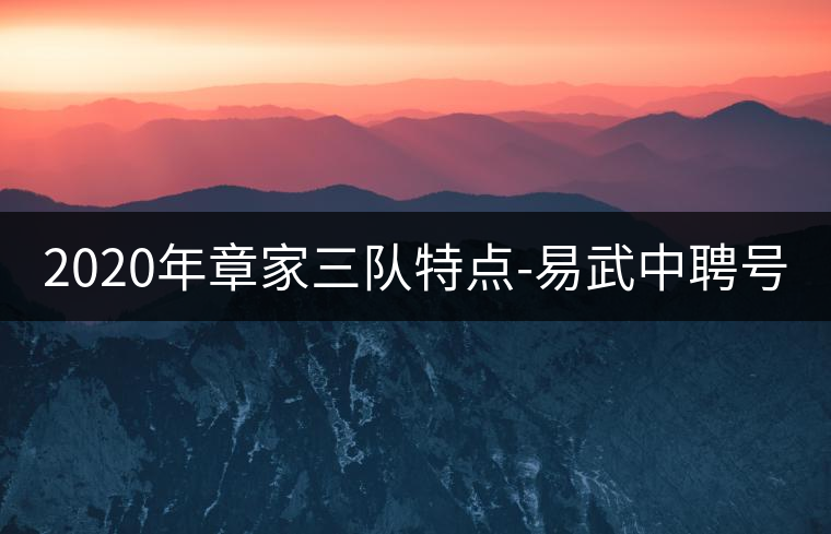 2020年章家三隊(duì)特點(diǎn)-易武中聘號