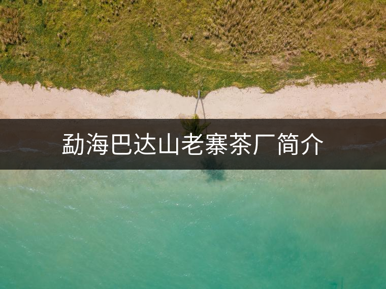 勐海巴達(dá)山老寨茶廠簡(jiǎn)介