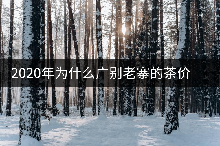 2020年為什么廣別老寨的茶價(jià)格這么貴名氣卻不是很大？-易武中聘號(hào)