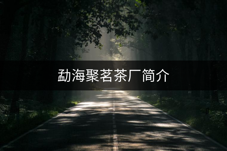 勐海聚茗茶廠簡(jiǎn)介