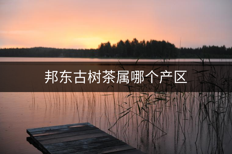 邦東古樹(shù)茶屬哪個(gè)產(chǎn)區(qū) 邦東古樹(shù)茶屬哪個(gè)產(chǎn)區(qū)