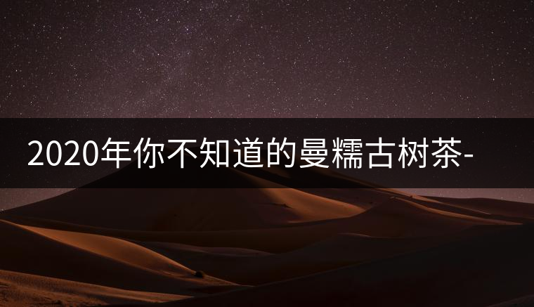 2020年你不知道的曼糯古樹茶-易武中聘號 2020年你不知道的曼糯古樹茶-易武中聘號