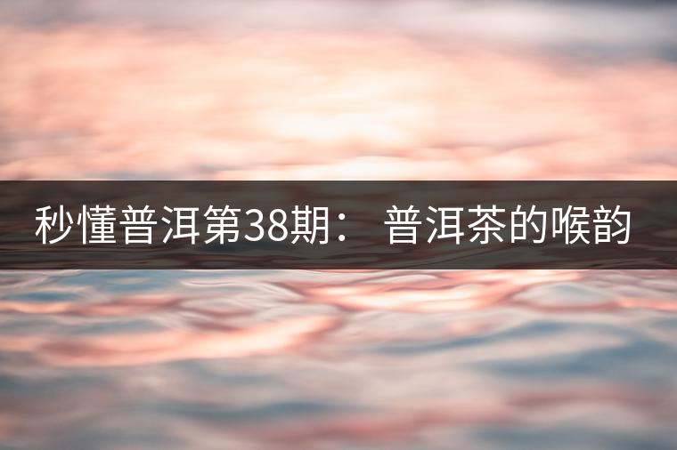 秒懂普洱第38期： 普洱茶的喉韻是什么？