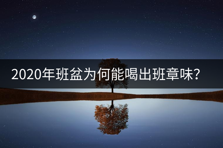 2020年班盆為何能喝出班章味？-易武中聘號(hào)
