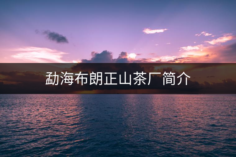 勐海布朗正山茶廠簡(jiǎn)介