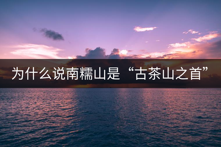 為什么說南糯山是“古茶山之首”？