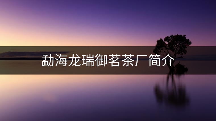勐海龍瑞御茗茶廠簡(jiǎn)介 勐海龍瑞御茗茶廠簡(jiǎn)介