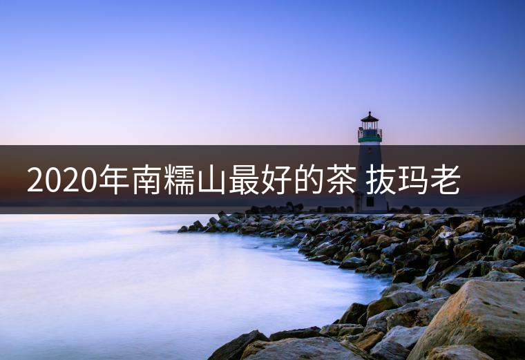 2020年南糯山最好的茶 抜瑪老寨-易武中聘號(hào)