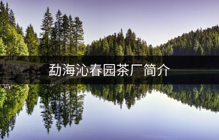 勐海沁春園茶廠簡(jiǎn)介