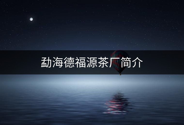 勐海德福源茶廠簡(jiǎn)介