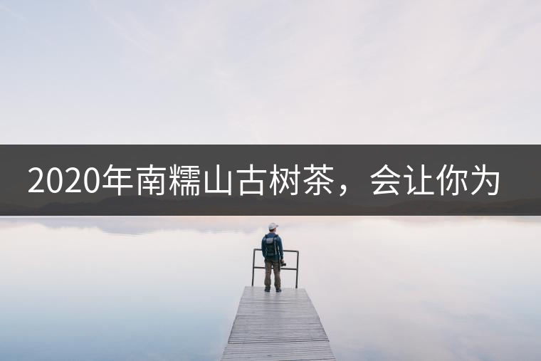 2020年南糯山古樹茶，會讓你為之著迷-易武中聘號