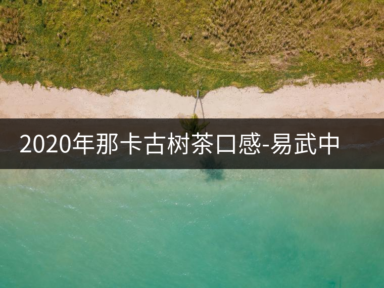 2020年那卡古樹茶口感-易武中聘號(hào)