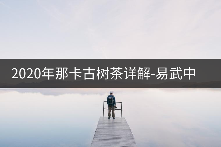 2020年那卡古樹茶詳解-易武中聘號(hào)
