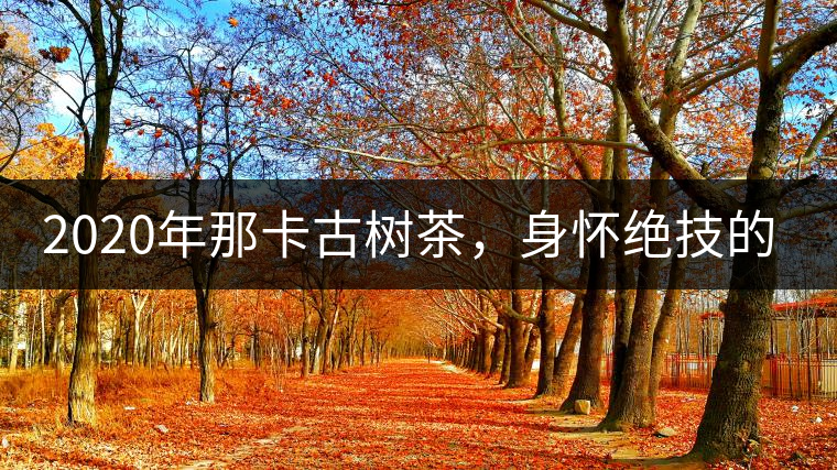 2020年那卡古樹茶，身懷絕技的“小班章” -易武中聘號