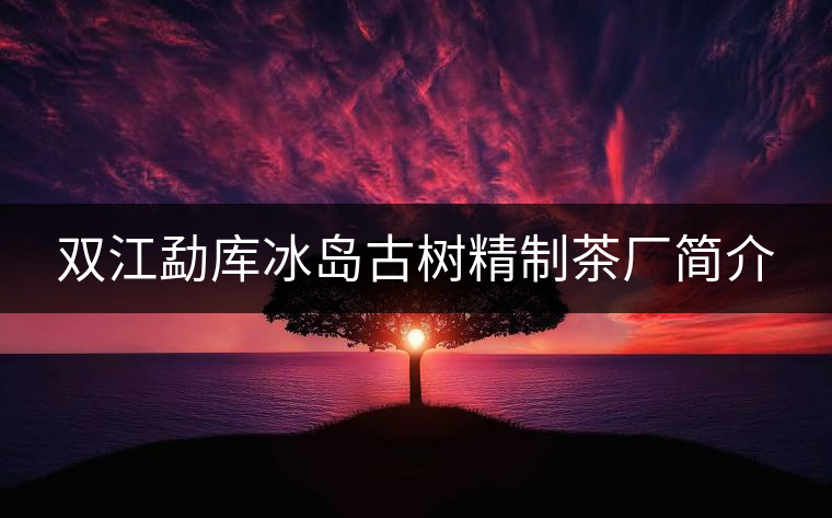 雙江勐庫(kù)冰島古樹(shù)精制茶廠(chǎng)簡(jiǎn)介 雙江勐庫(kù)冰島古樹(shù)精制茶廠(chǎng)簡(jiǎn)介