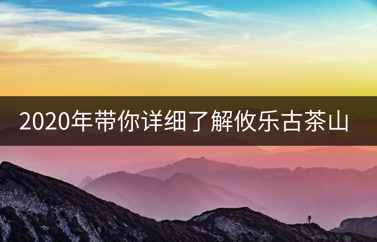 2020年帶你詳細了解攸樂古茶山-易武中聘號