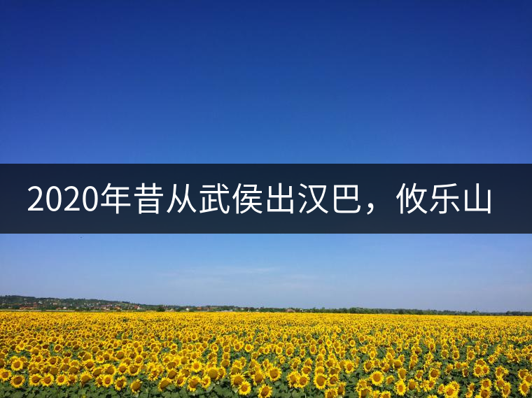 2020年昔從武侯出漢巴，攸樂(lè)山中只種茶。-易武中聘號(hào)