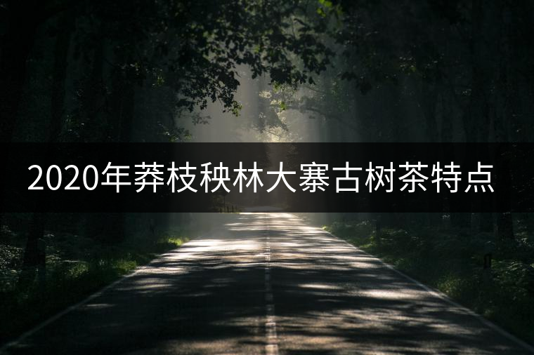 2020年莽枝秧林大寨古樹茶特點(diǎn)-易武中聘號(hào)