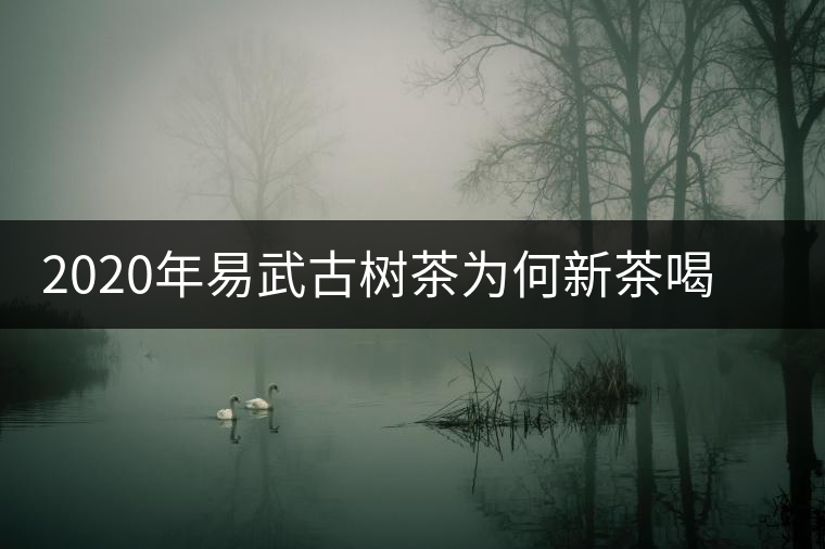 2020年易武古樹茶為何新茶喝時淡卻越放越濃？-易武中聘號