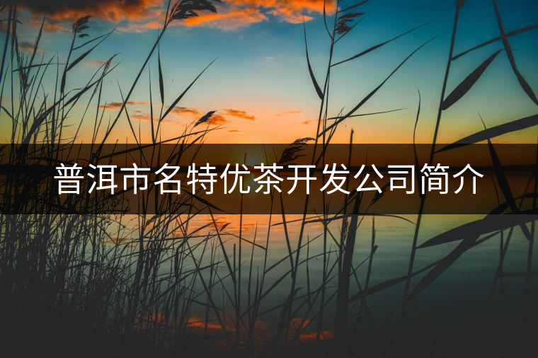 普洱市名特優(yōu)茶開發(fā)公司簡(jiǎn)介 普洱市名特優(yōu)茶開發(fā)公司簡(jiǎn)介