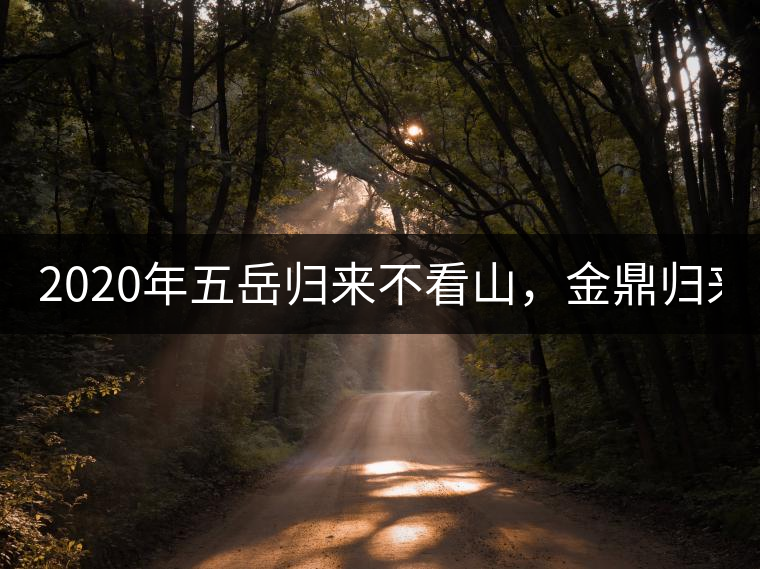 2020年五岳歸來(lái)不看山，金鼎歸來(lái)不看茶   -易武中聘號(hào)