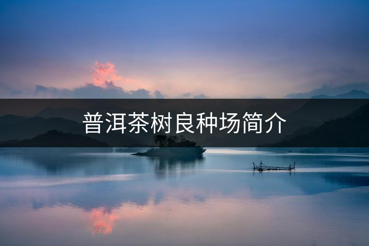 普洱茶樹良種場簡介