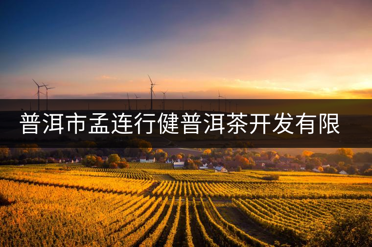 普洱市孟連行健普洱茶開(kāi)發(fā)有限公司簡(jiǎn)介 普洱市孟連行健普洱茶開(kāi)發(fā)有限公司簡(jiǎn)介
