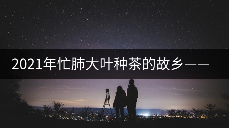 2021年忙肺大葉種茶的故鄉(xiāng)——臨滄永德 -易武中聘號(hào)
