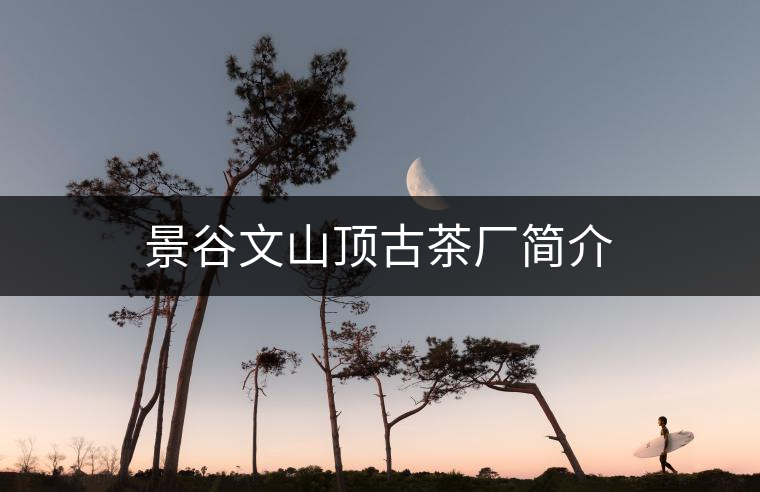 景谷文山頂古茶廠簡介 景谷文山頂古茶廠簡介
