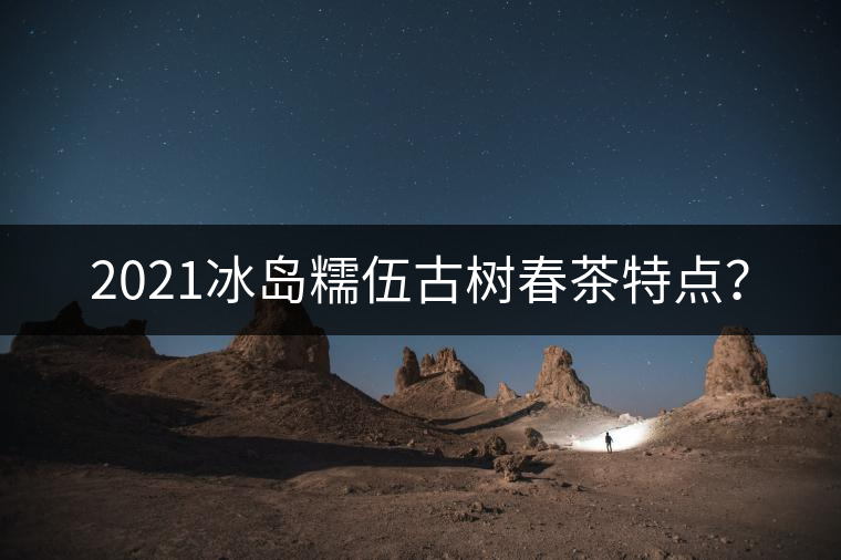2021冰島糯伍古樹(shù)春茶特點(diǎn)？