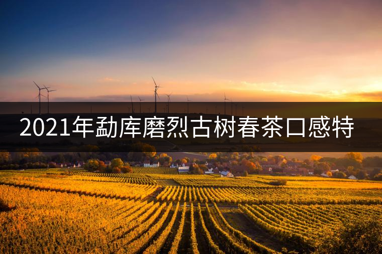 2021年勐庫磨烈古樹春茶口感特點(diǎn)是什么？