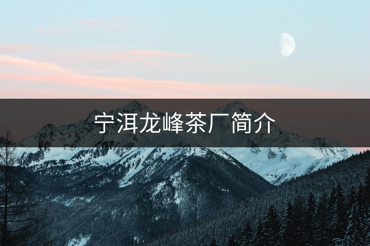 寧洱龍峰茶廠簡介