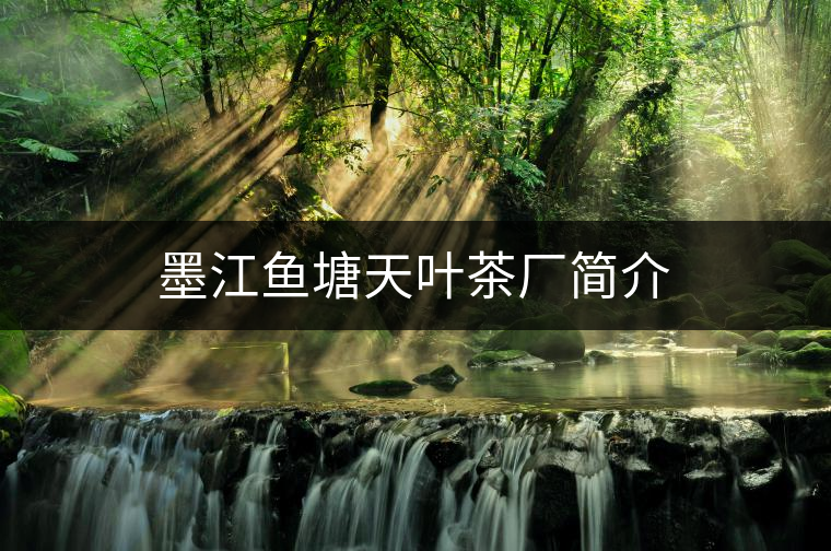 墨江魚塘天葉茶廠簡介 墨江魚塘天葉茶廠簡介