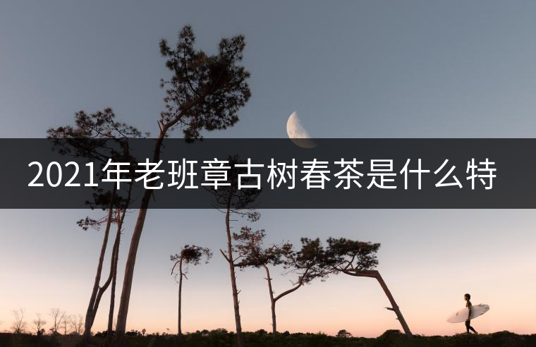 2021年老班章古樹(shù)春茶是什么特點(diǎn)？