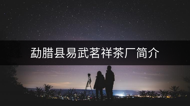 勐臘縣易武茗祥茶廠簡介