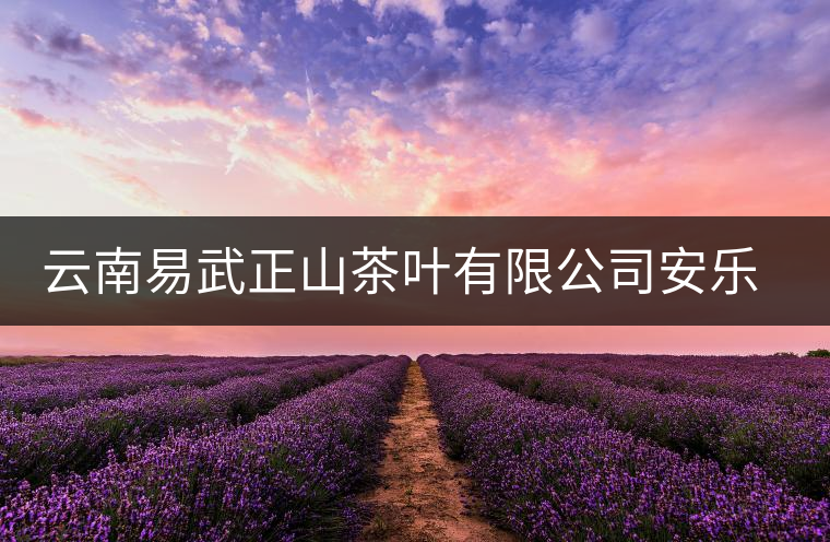 云南易武正山茶葉有限公司安樂茶莊同慶茶廠簡介