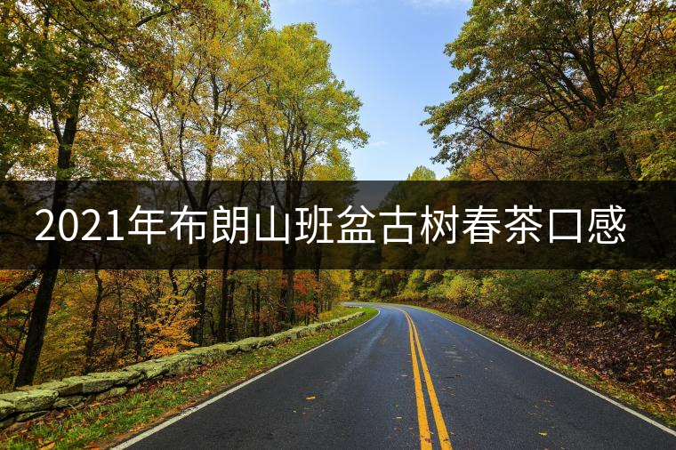 2021年布朗山班盆古樹春茶口感特點？