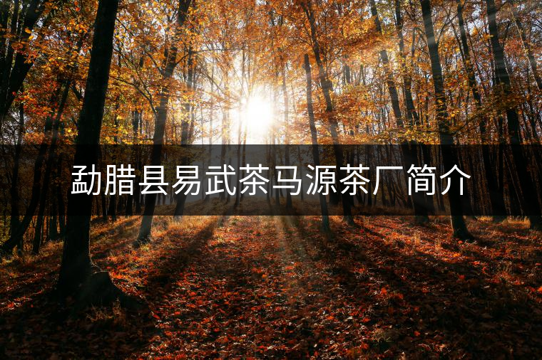 勐臘縣易武茶馬源茶廠簡(jiǎn)介