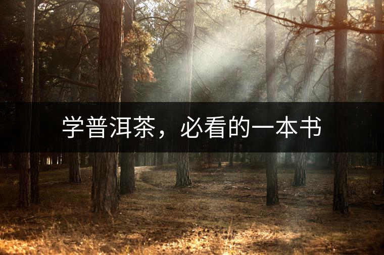 學(xué)普洱茶，必看的一本書
