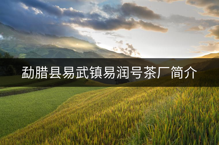 勐臘縣易武鎮(zhèn)易潤號(hào)茶廠簡(jiǎn)介 勐臘縣易武鎮(zhèn)易潤號(hào)茶廠簡(jiǎn)介