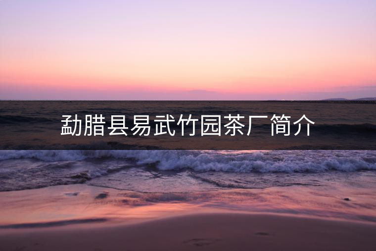 勐臘縣易武竹園茶廠簡(jiǎn)介 勐臘縣易武竹園茶廠簡(jiǎn)介