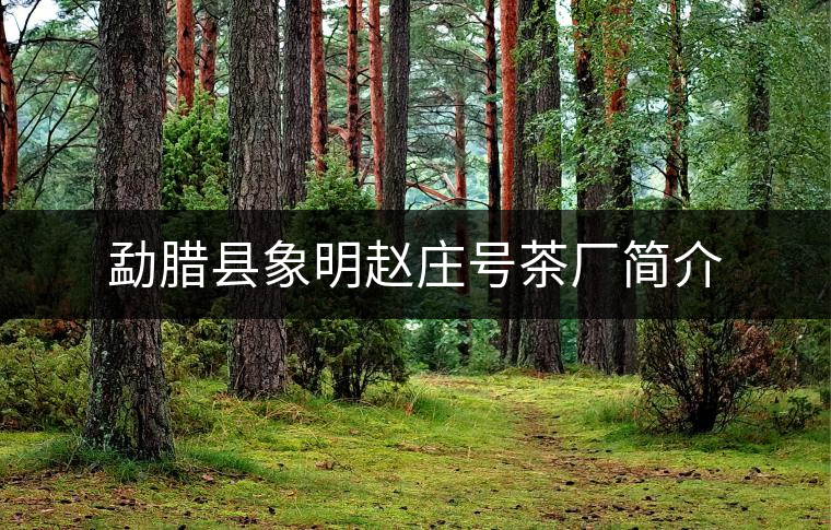 勐臘縣象明趙莊號(hào)茶廠簡介