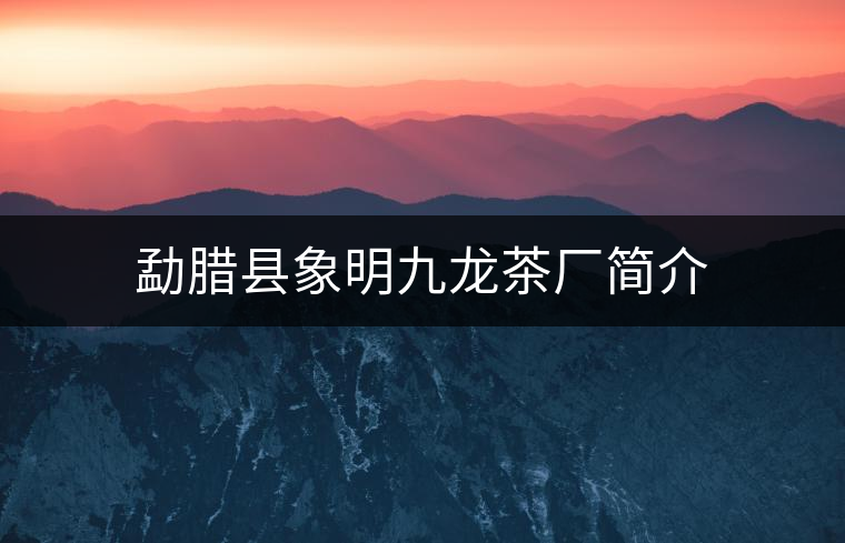勐臘縣象明九龍茶廠(chǎng)簡(jiǎn)介
