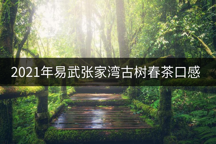 2021年易武張家灣古樹春茶口感特點(diǎn)介紹