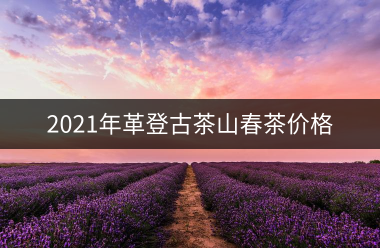 2021年革登古茶山春茶價格